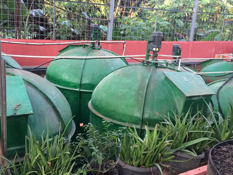 Biogas UI